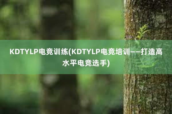 KDTYLP电竞训练(KDTYLP电竞培训——打造高水平电竞选手)