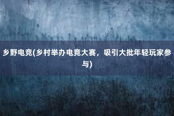 乡野电竞(乡村举办电竞大赛，吸引大批年轻玩家参与)