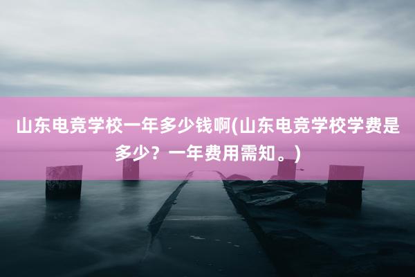 山东电竞学校一年多少钱啊(山东电竞学校学费是多少？一年费用需知。)