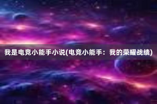 我是电竞小能手小说(电竞小能手：我的荣耀战绩)