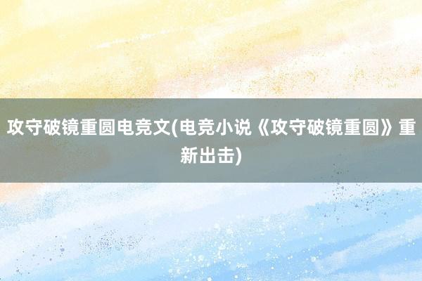 攻守破镜重圆电竞文(电竞小说《攻守破镜重圆》重新出击)