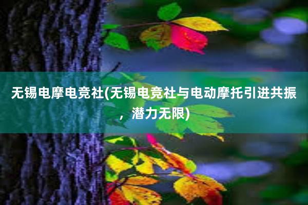 无锡电摩电竞社(无锡电竞社与电动摩托引进共振，潜力无限)