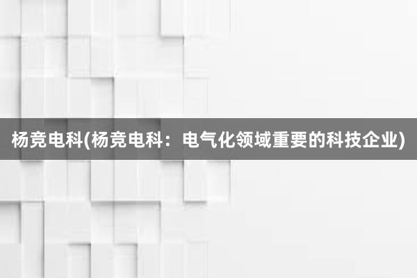 杨竞电科(杨竞电科：电气化领域重要的科技企业)