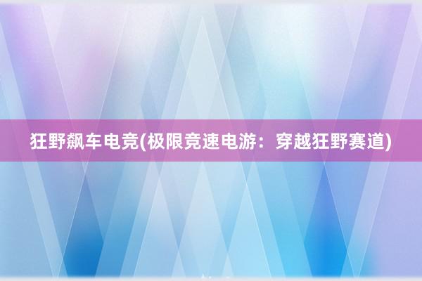 狂野飙车电竞(极限竞速电游：穿越狂野赛道)