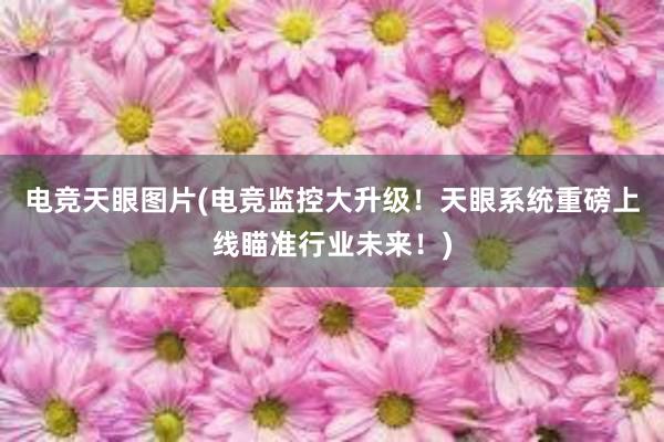 电竞天眼图片(电竞监控大升级！天眼系统重磅上线瞄准行业未来！)