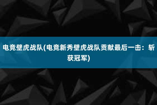 电竞壁虎战队(电竞新秀壁虎战队贡献最后一击：斩获冠军)