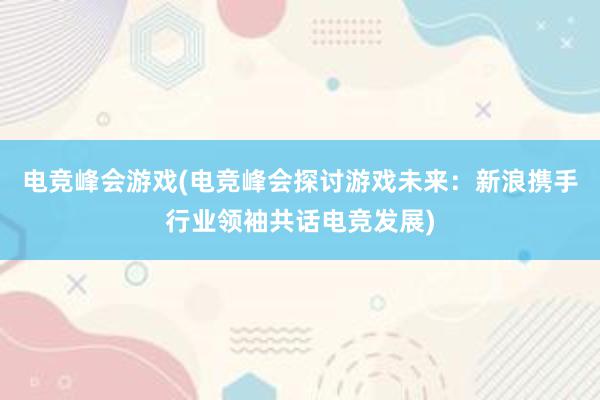 电竞峰会游戏(电竞峰会探讨游戏未来：新浪携手行业领袖共话电竞发展)