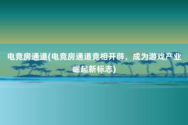 电竞房通道(电竞房通道竞相开辟，成为游戏产业崛起新标志)