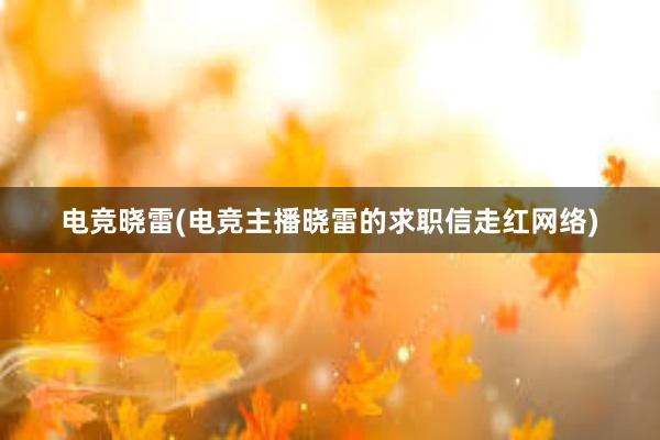 电竞晓雷(电竞主播晓雷的求职信走红网络)