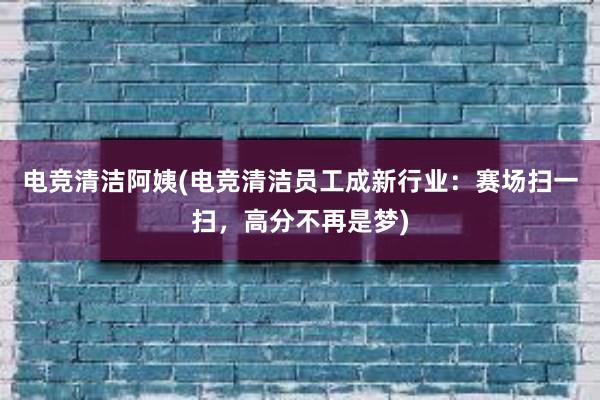 电竞清洁阿姨(电竞清洁员工成新行业：赛场扫一扫，高分不再是梦)