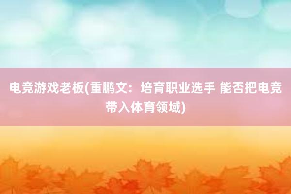 电竞游戏老板(重鹏文：培育职业选手 能否把电竞带入体育领域)