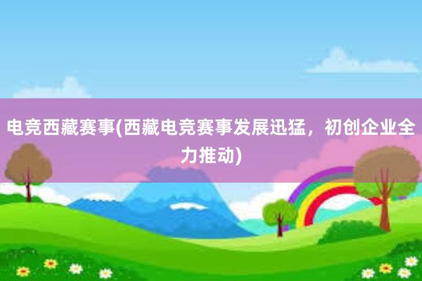 电竞西藏赛事(西藏电竞赛事发展迅猛，初创企业全力推动)