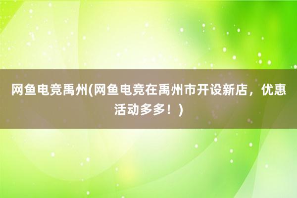 网鱼电竞禹州(网鱼电竞在禹州市开设新店，优惠活动多多！)