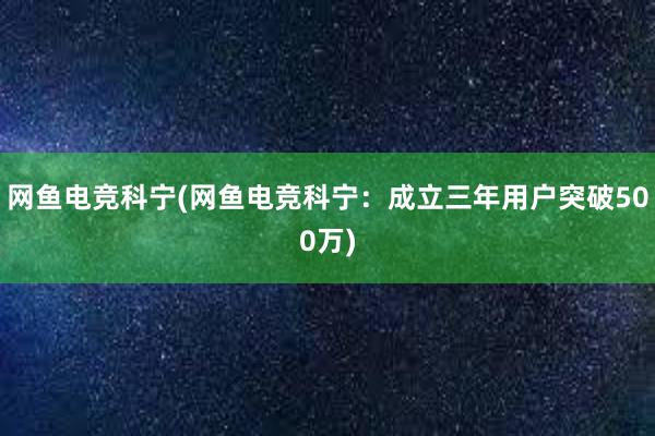 网鱼电竞科宁(网鱼电竞科宁：成立三年用户突破500万)