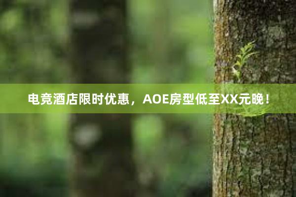 电竞酒店限时优惠，AOE房型低至XX元晚！