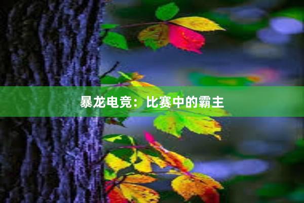 暴龙电竞：比赛中的霸主