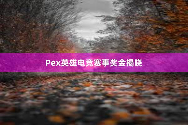 Pex英雄电竞赛事奖金揭晓