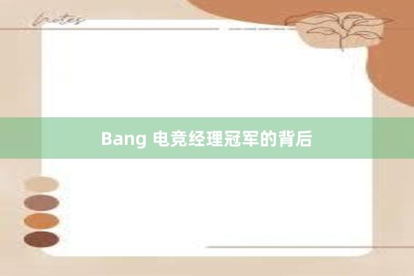 Bang 电竞经理冠军的背后