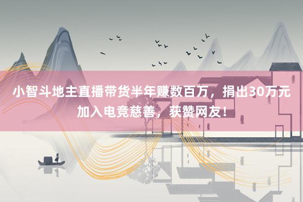 小智斗地主直播带货半年赚数百万，捐出30万元加入电竞慈善，获赞网友！