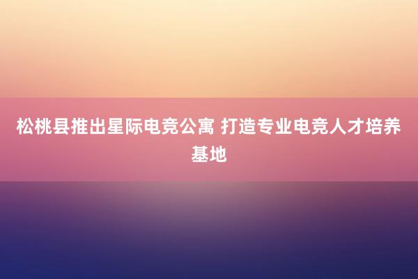 松桃县推出星际电竞公寓 打造专业电竞人才培养基地