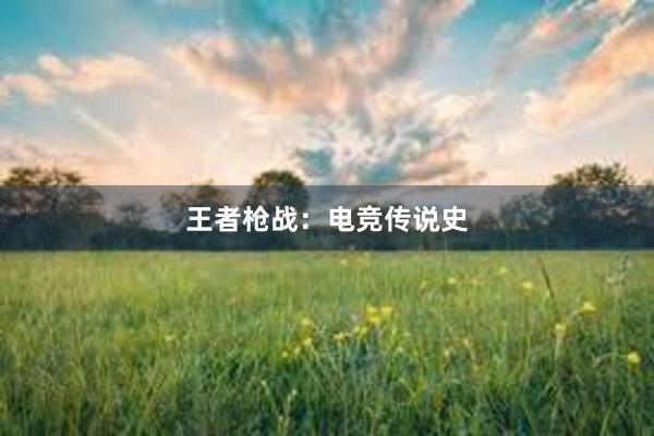 王者枪战：电竞传说史