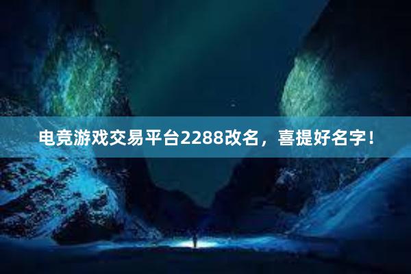 电竞游戏交易平台2288改名，喜提好名字！