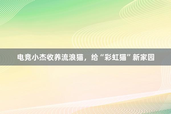 电竞小杰收养流浪猫，给“彩虹猫”新家园