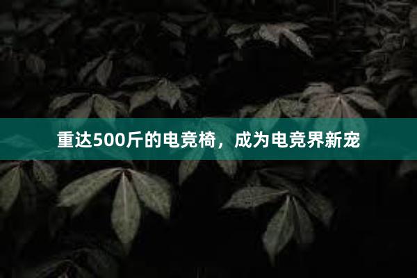 重达500斤的电竞椅，成为电竞界新宠